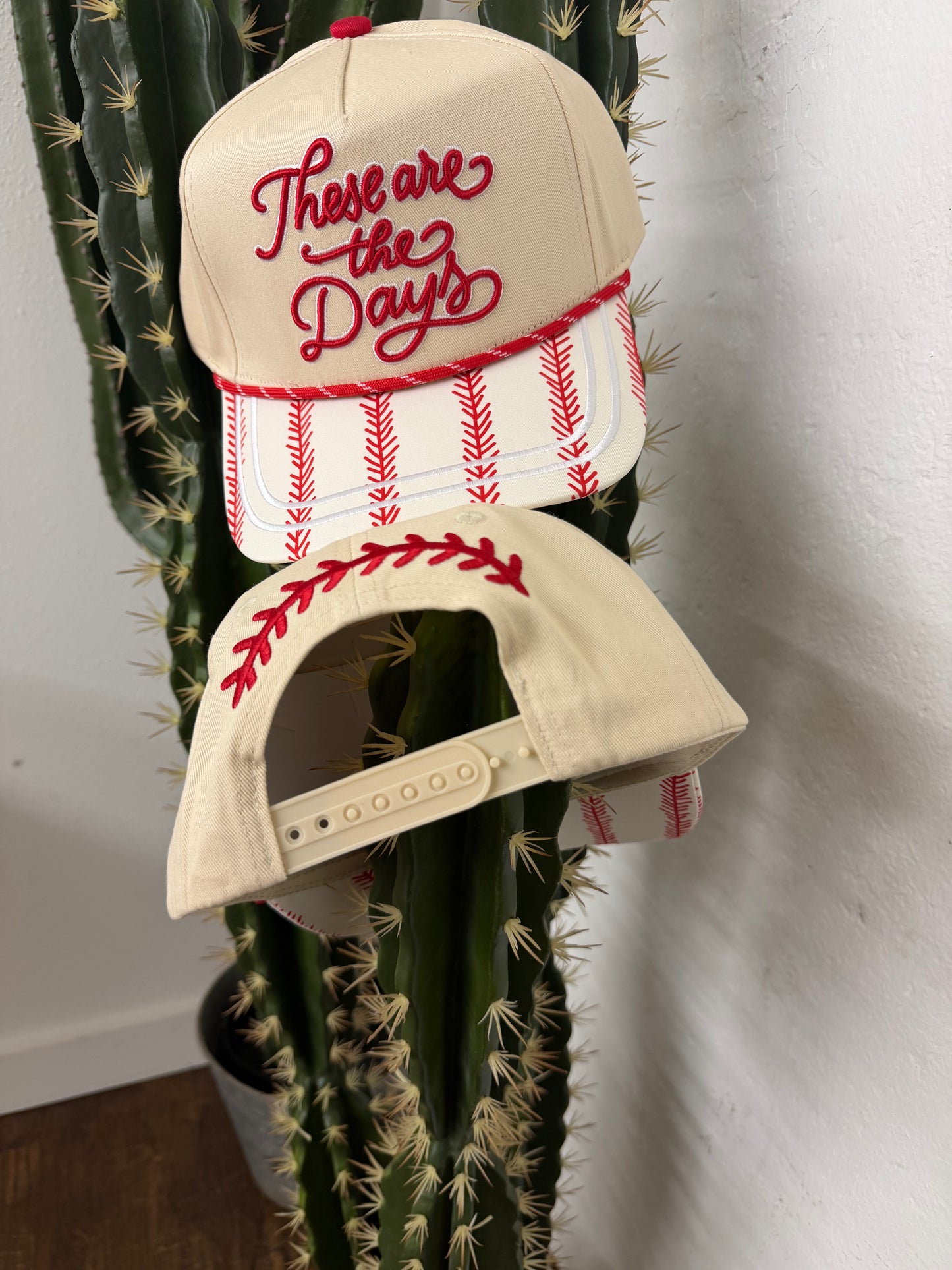 Baseball These are the Days Hat