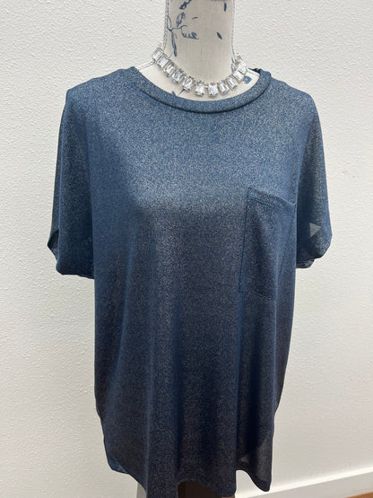 Shimmer & Sleek Blouse